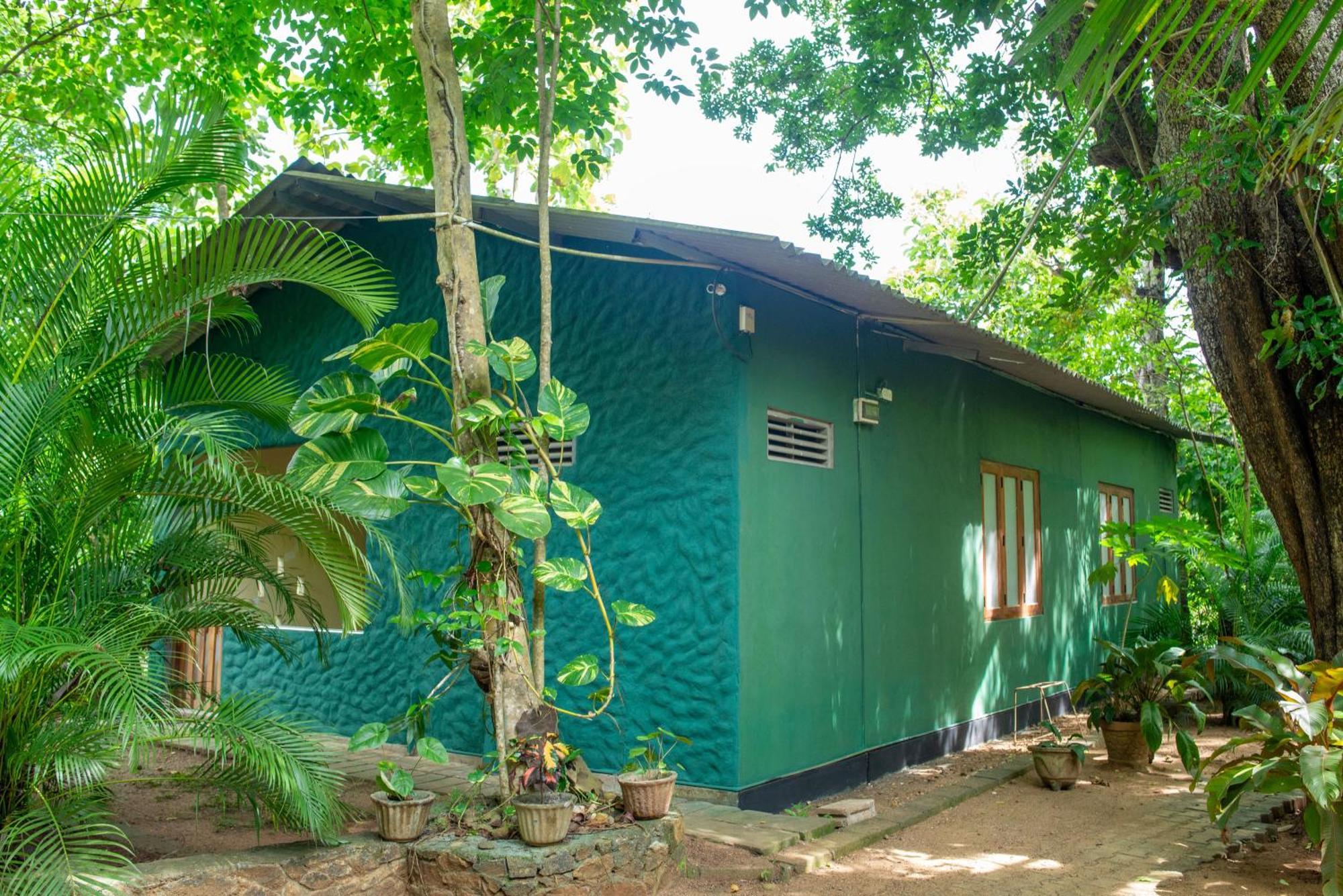 Silent Bungalow Udawalawe Dış mekan fotoğraf