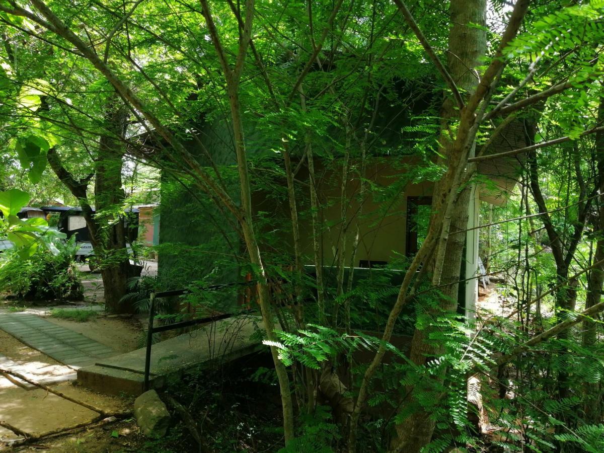 Silent Bungalow Udawalawe Dış mekan fotoğraf